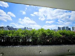 Mount Rosie Road (D11), Detached #523870971